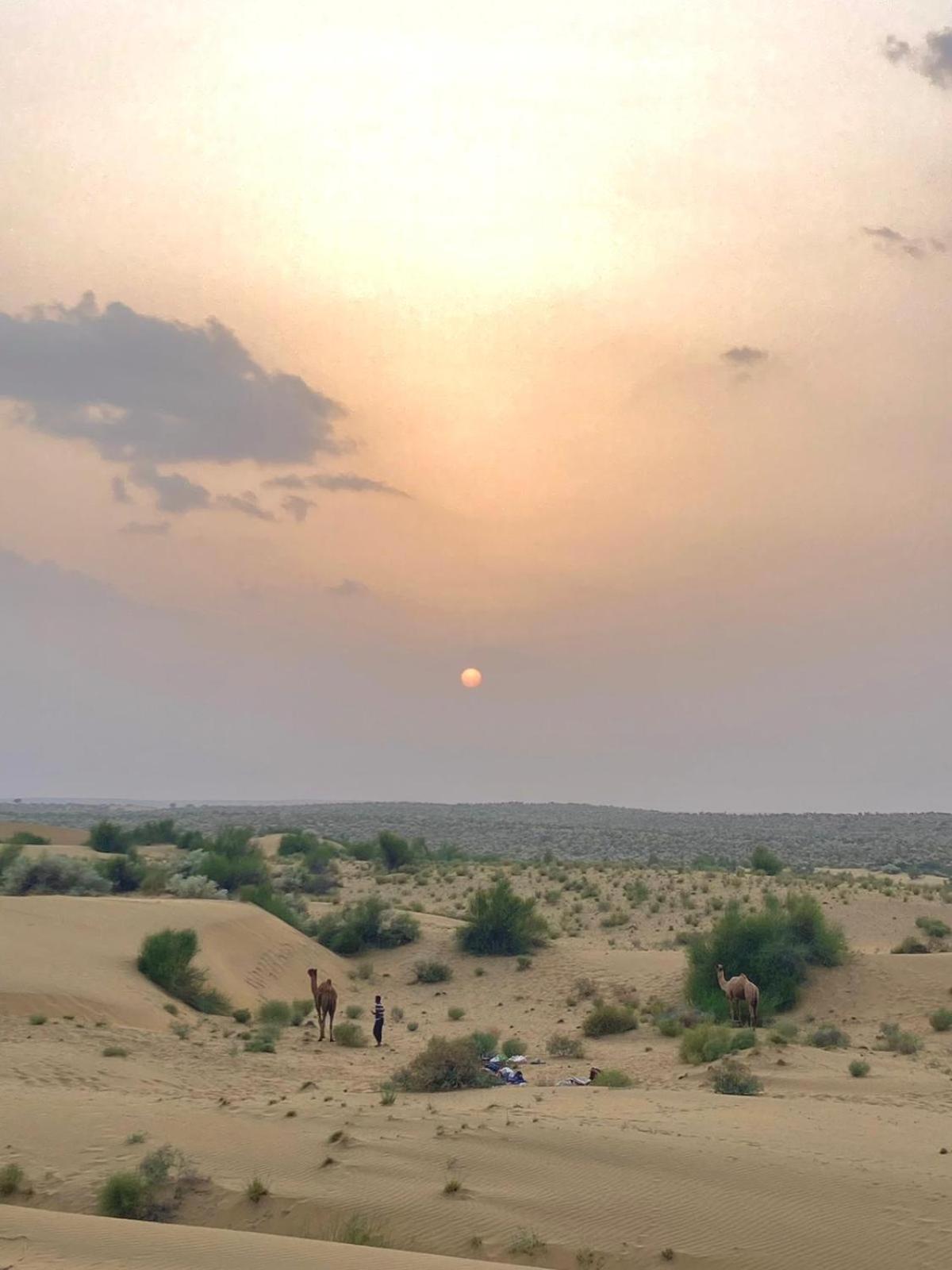 Crazy Camel Hotel & Safari Jaisalmer Εξωτερικό φωτογραφία