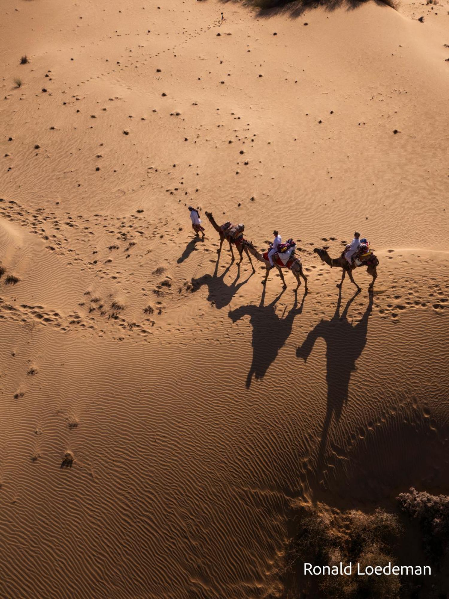 Crazy Camel Hotel & Safari Jaisalmer Εξωτερικό φωτογραφία